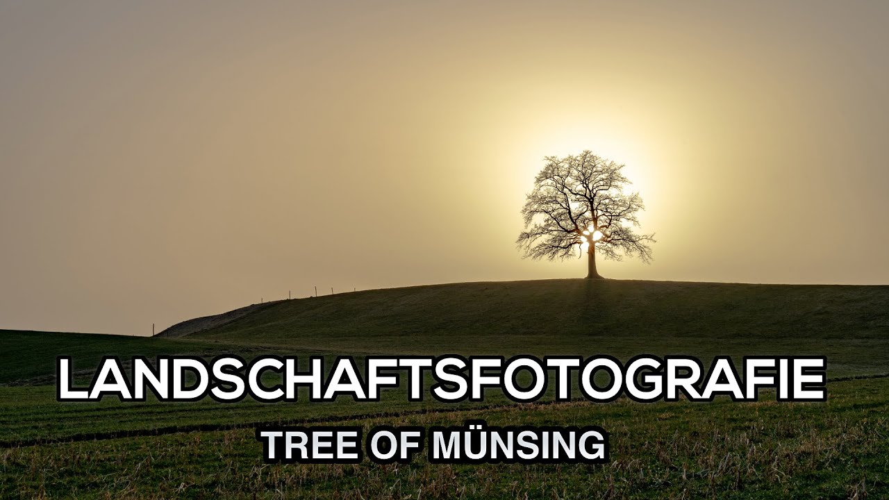 Landschaftsfotografie - Tree of Münsing