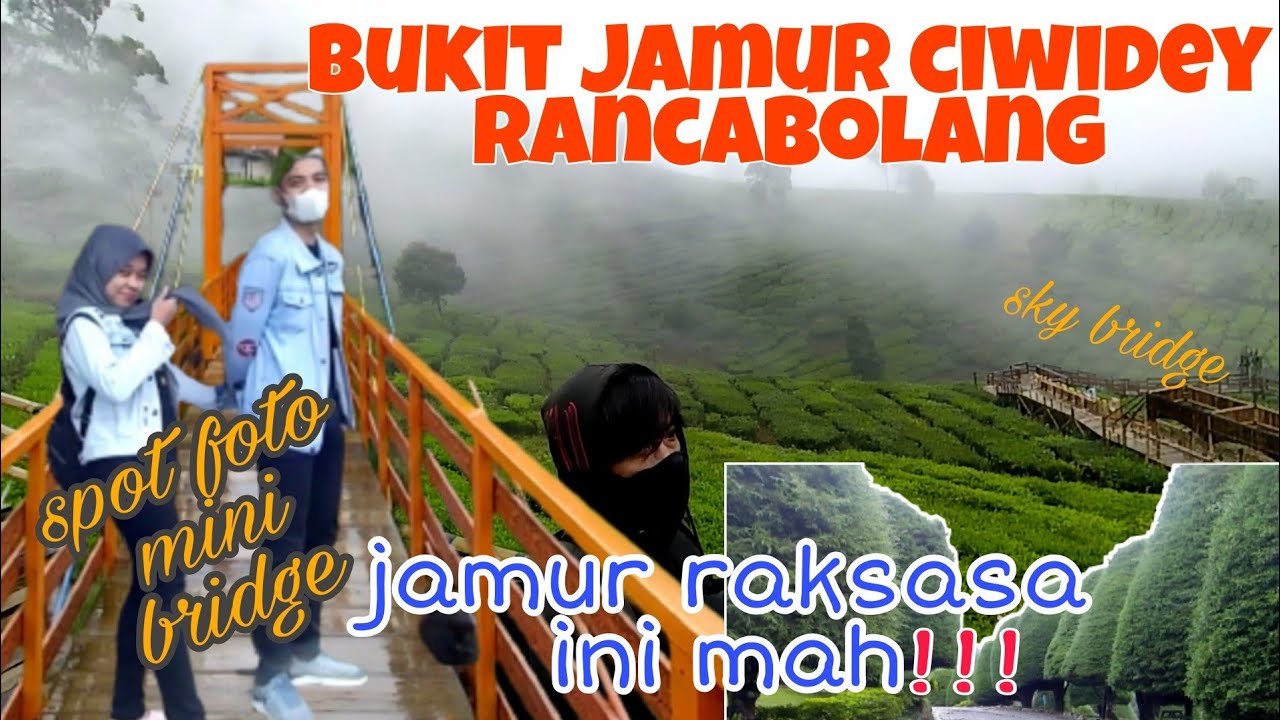 BUKIT JAMUR CIWIDEY 2022 TERBARU|| RANCABOLANG CIWIDEY KABUPATEN BANDUNG || WISATA CIWIDEY