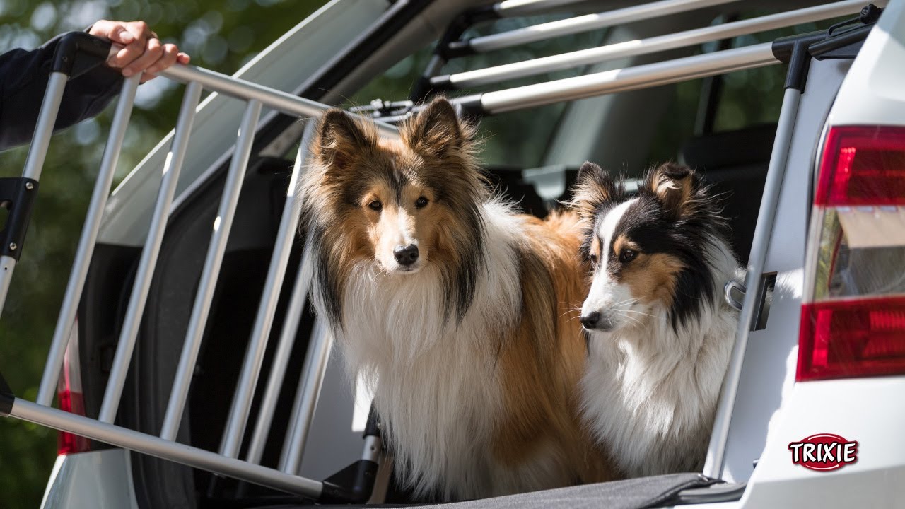 The universal rear gate - turns your boot into a dog crate! TRIXIE Heimtierbedarf