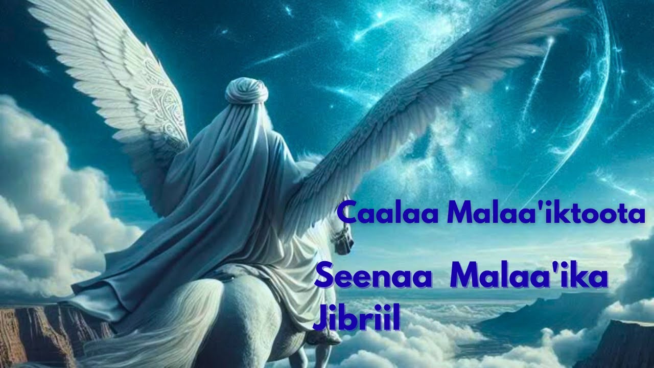 Jibriil | Ergamaa Ergamtootaa #seenaa @IbsaabdiOfficial #europe