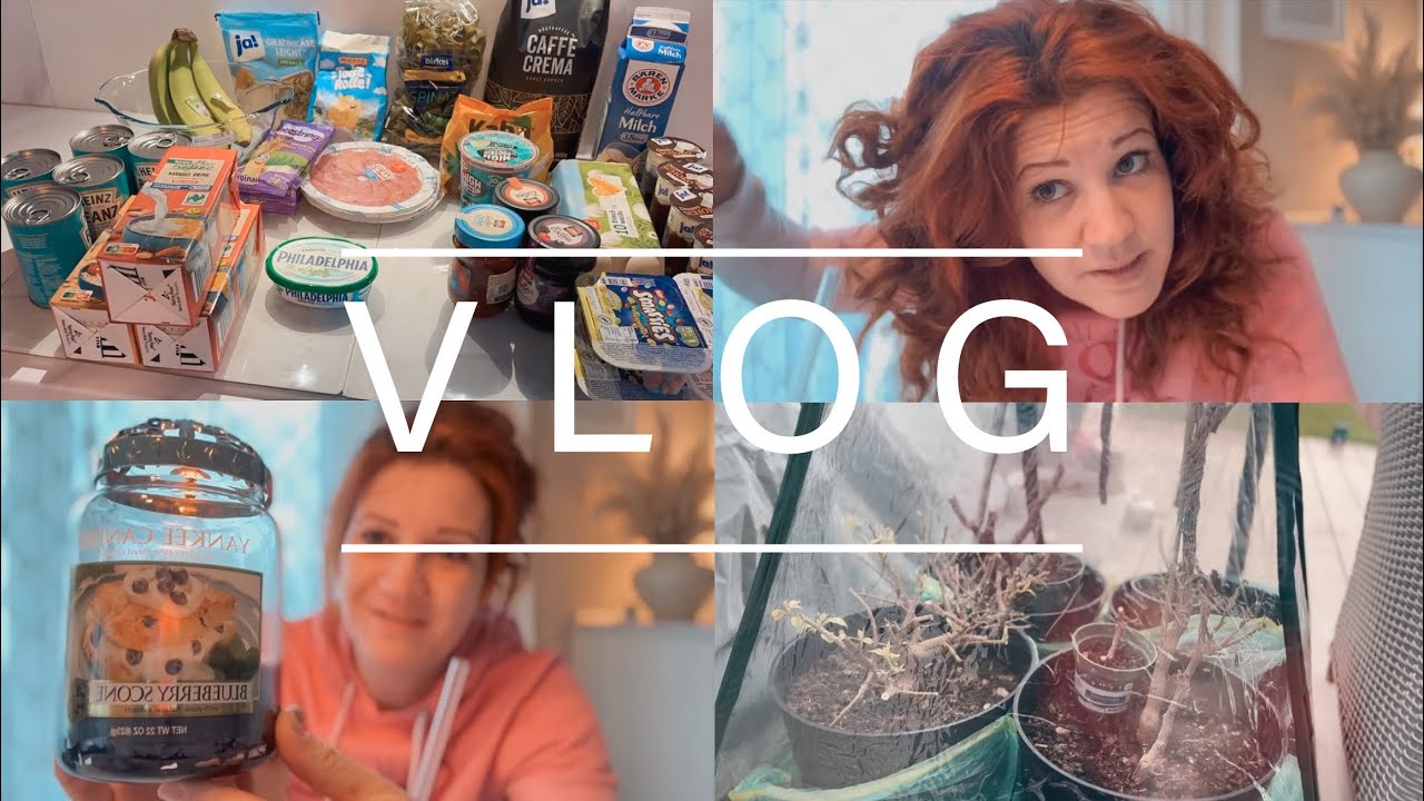 Food Haul & Zeitschrift | Garten | Duftkerze | Schule & Koki | Haare teilluftgetrocknet | VLOG 501