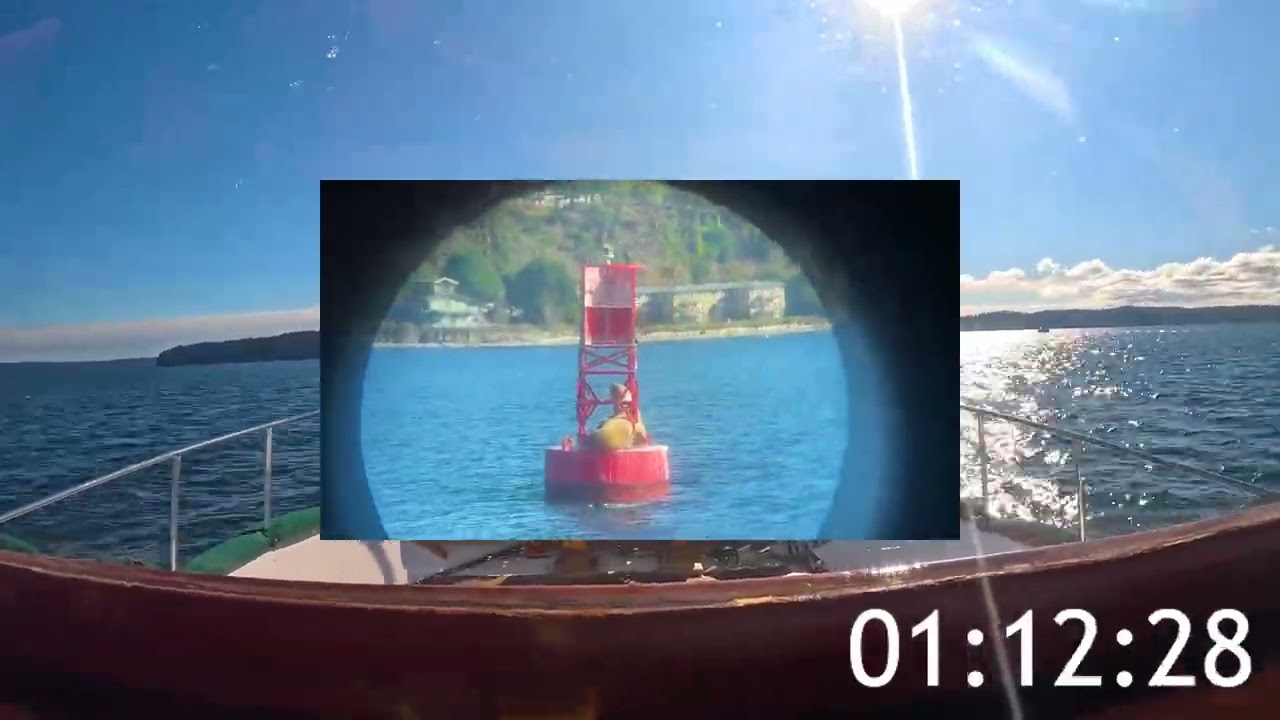 Roundtrip Voyage from Ruston to Bremerton (Sped Up 700x)