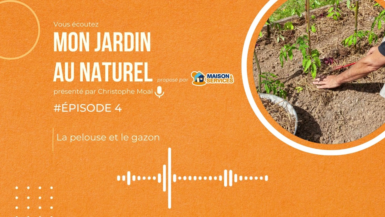 Episode 4 : La pelouse et le gazon