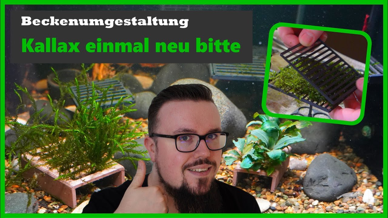 Jetzt geht's dem Kallax-Regal an den Kragen