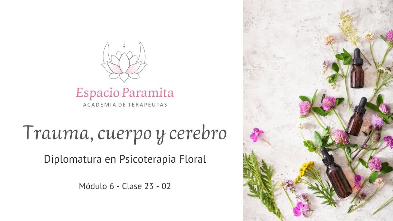 Neurobiología del trauma. Trauma, cuerpo y cerebro