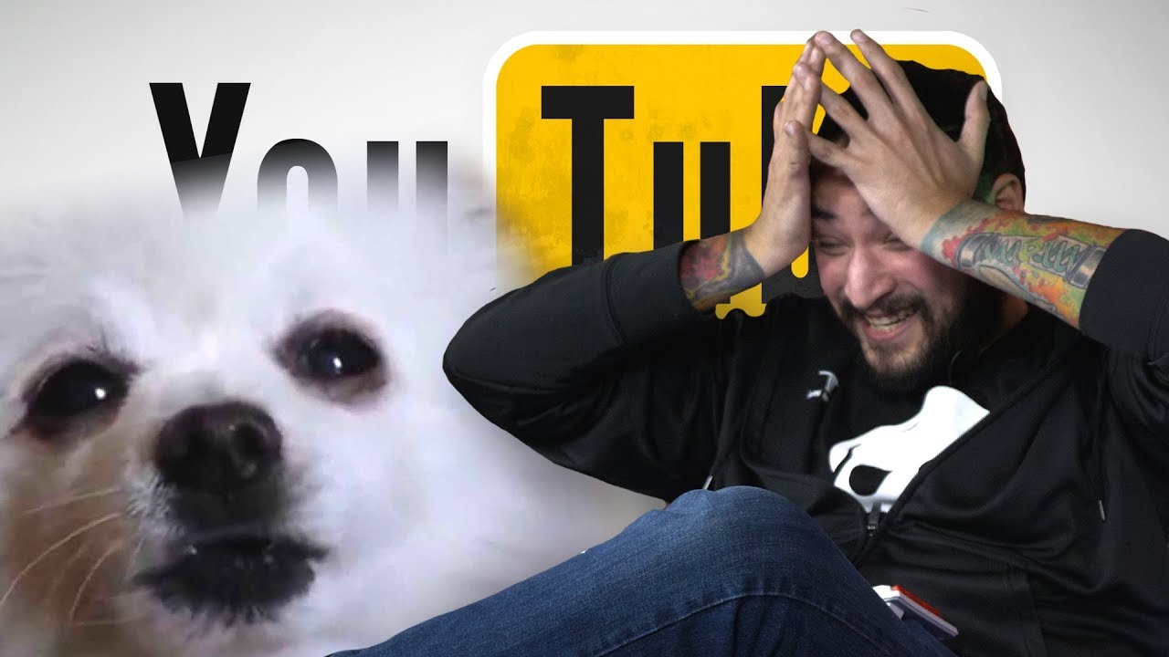 ИЗВИНИТЕ, ГЕЙБ, ПЕС • ИЗНАННАЯ СТОРОНА YOUTUBE