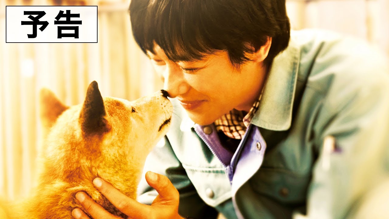 『ひまわりと子犬の７日間』予告編