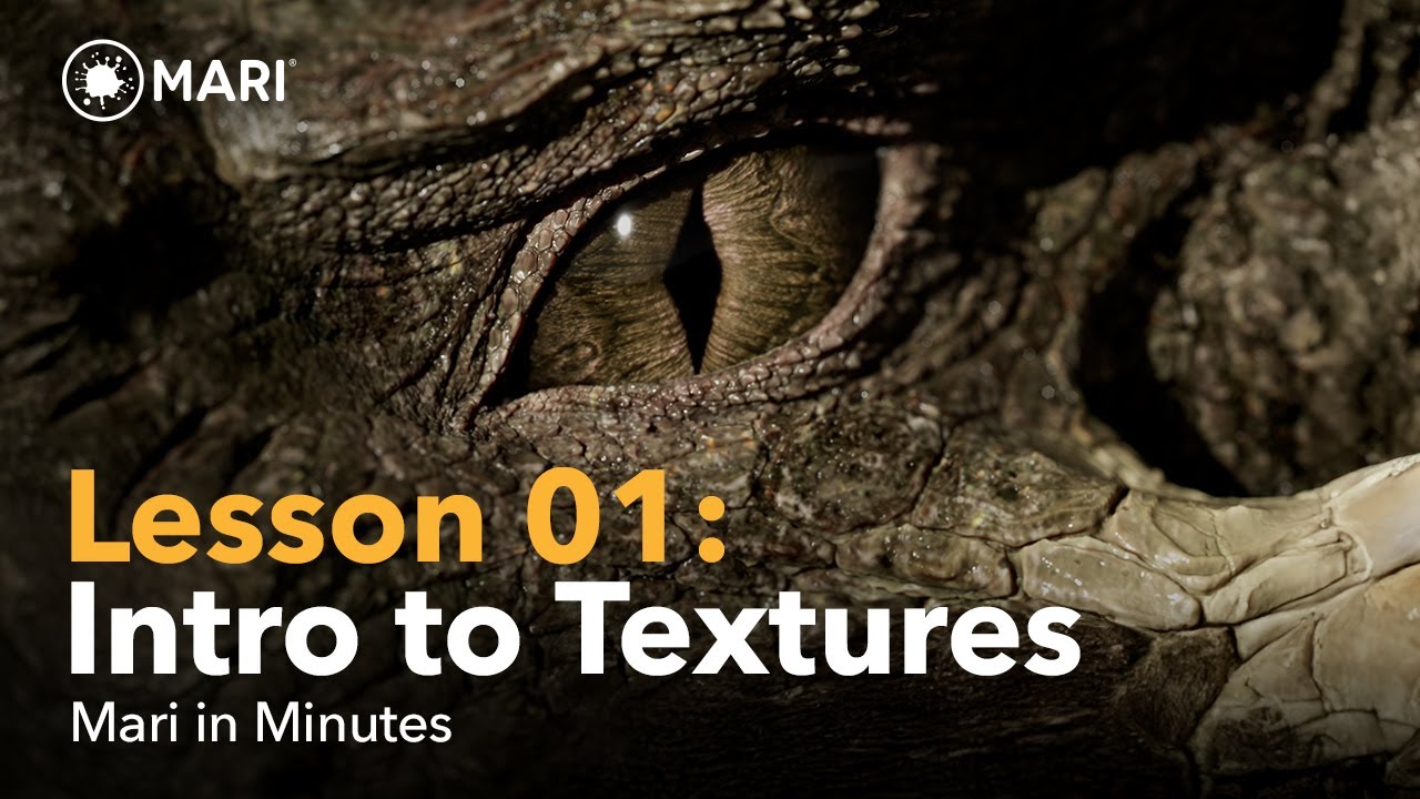 Mari in Minutes | Lesson 1: Introduction to textures