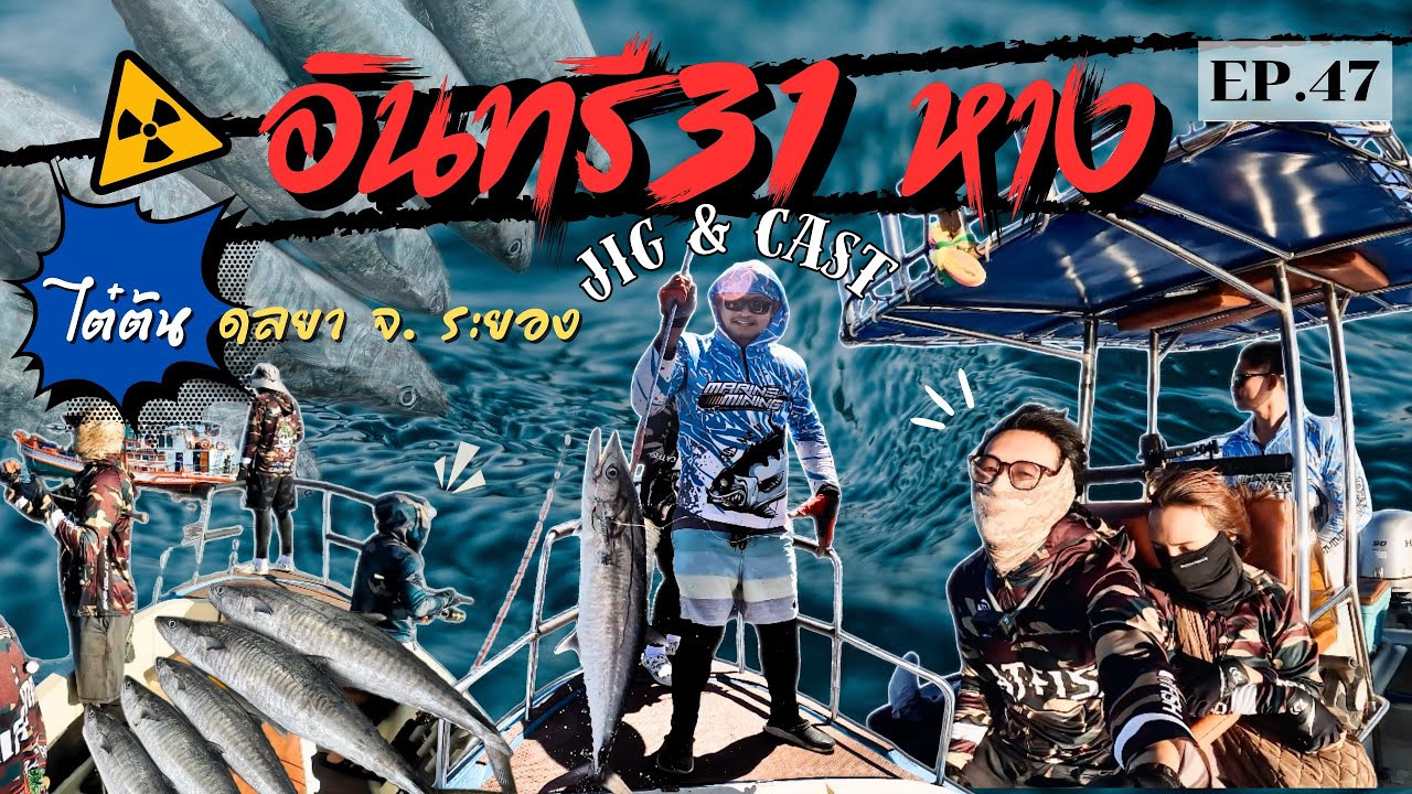 EP.47  อินทรี 31 หาง  ไต๋ต้นดลยา จัดให้ จิ้กแคสทะเลระยอง 🌪️🔥
