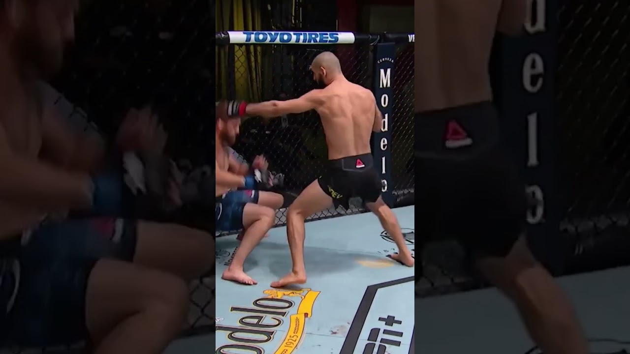 #mma #combatsport #ufc #khamzatchimaev #knockout