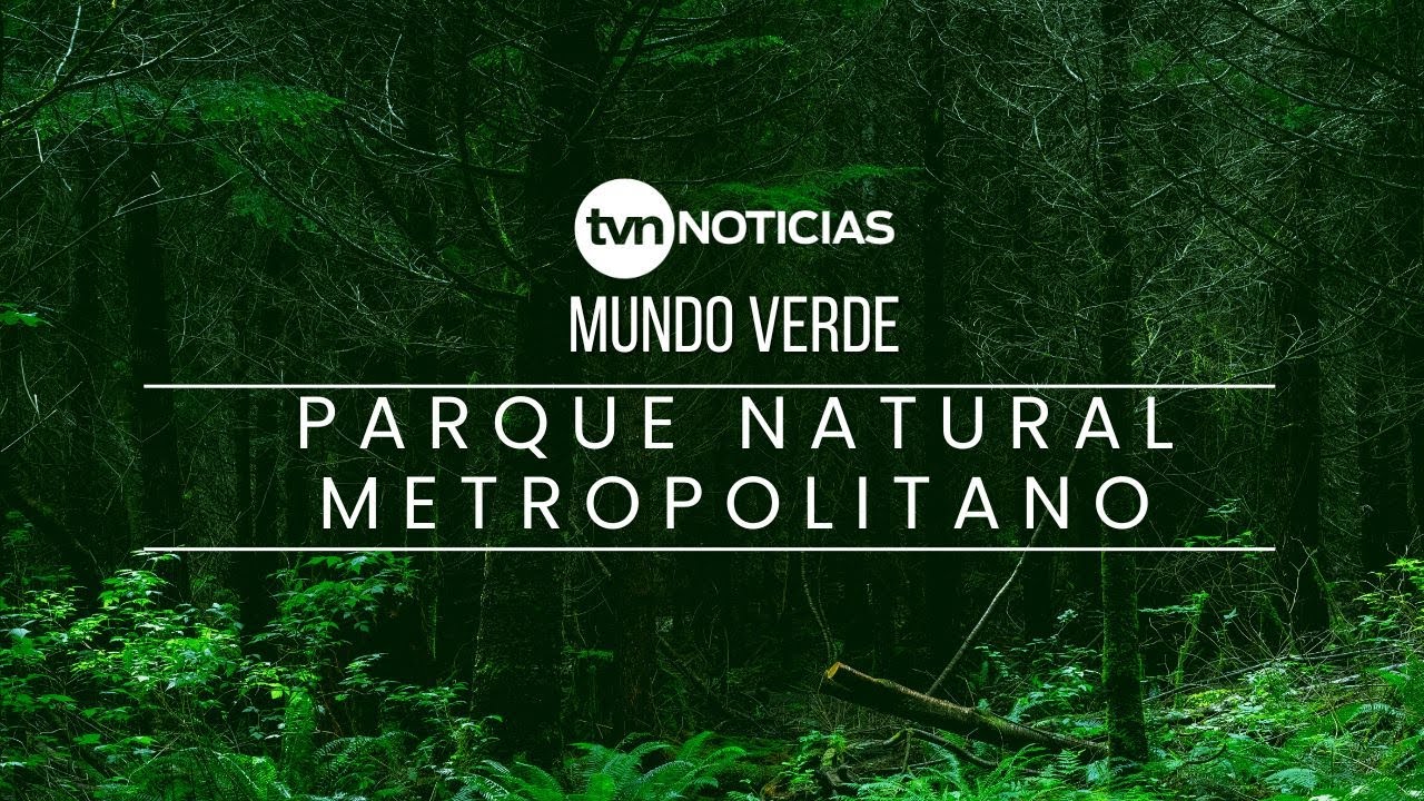 Mundo Verde: Parque Natural Metropolitano