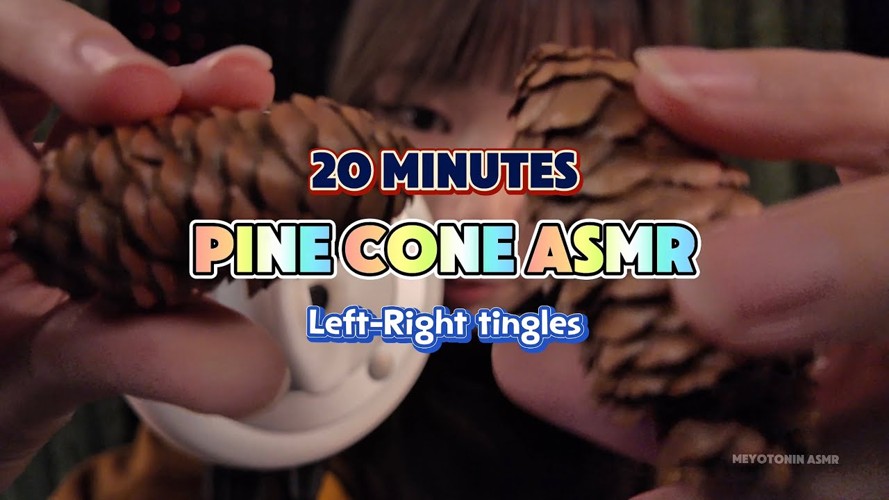 Pine Cone ASMR with 3 dio - Crunchy texture & Nature Sounds for tingles
