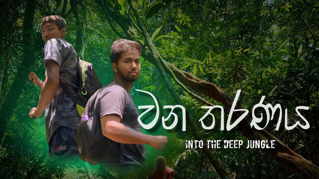 වන තරණය - Into the deep jungle 🌿🍃