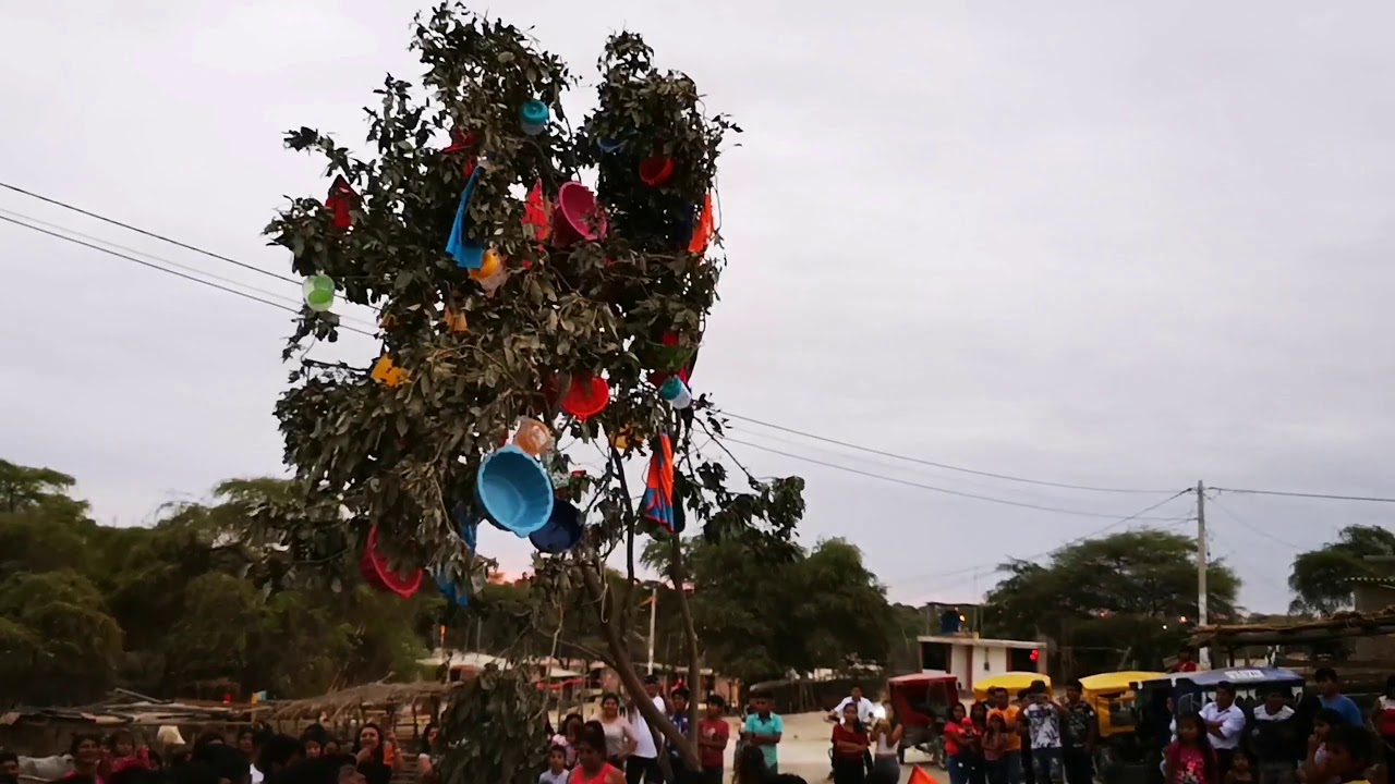 Yunza San Sebastián _carnaval 2019