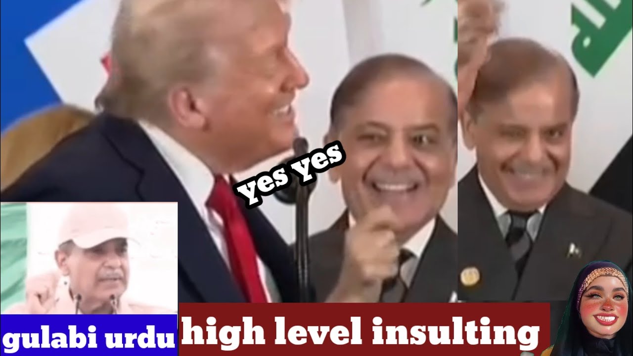 High level  insulting||Pak official||roasting 