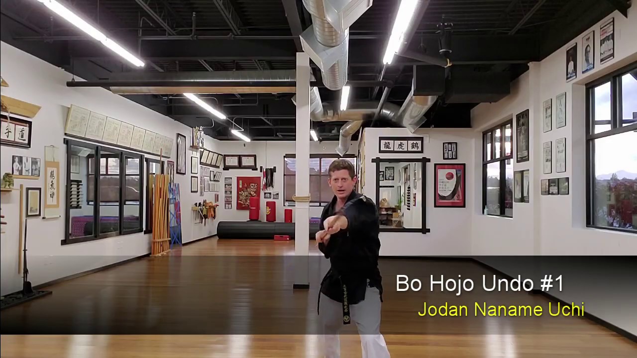 Matayoshi Kobudo Bo Hojo Undo #1