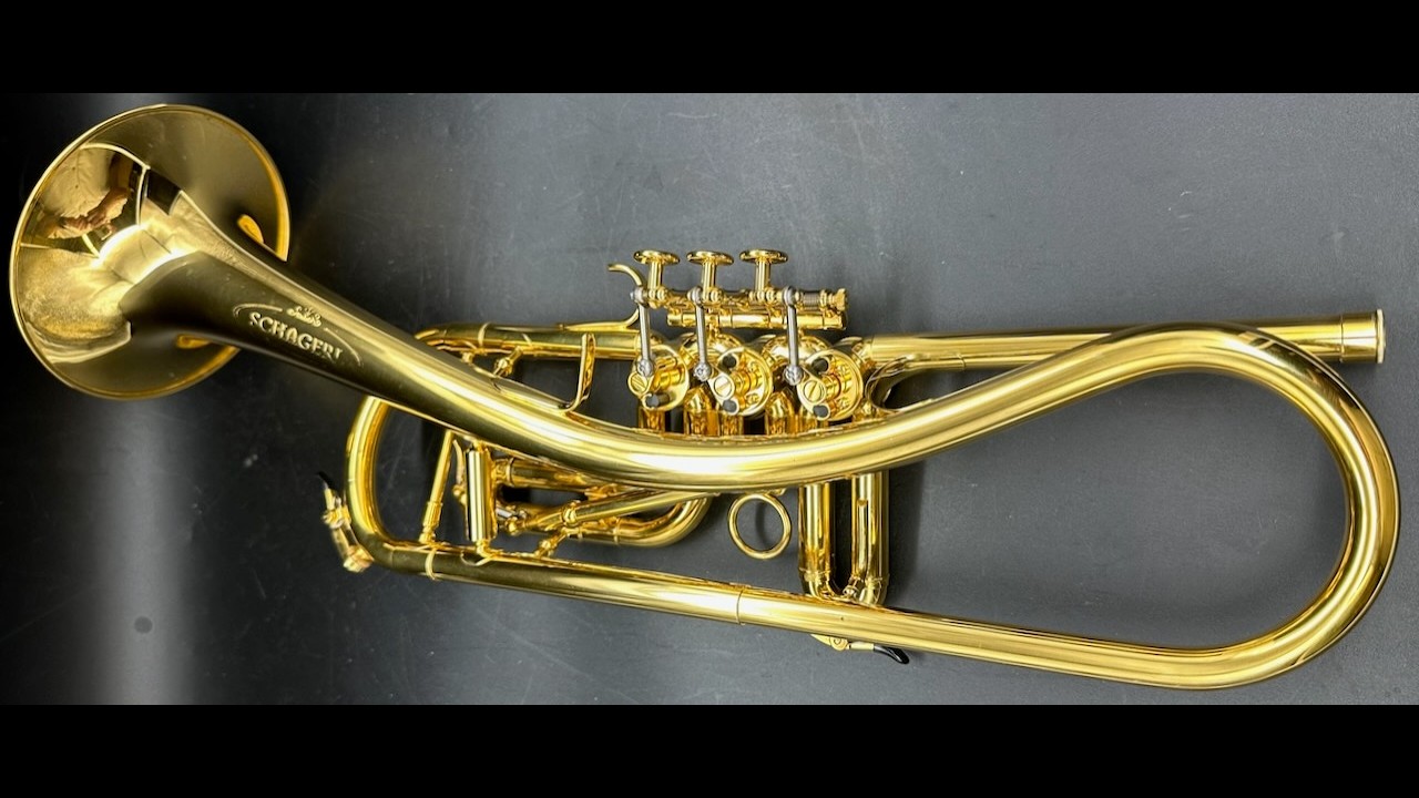 Schagerl Ganschhorn  S/n 9659 GOLD PLATE