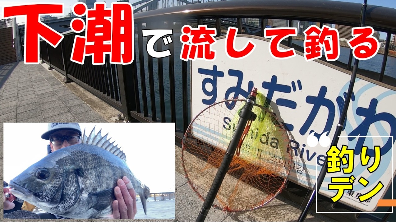 「ヘチ釣り」最近下潮のが黒鯛が釣れる気が...流して釣るを検証してみた件！
