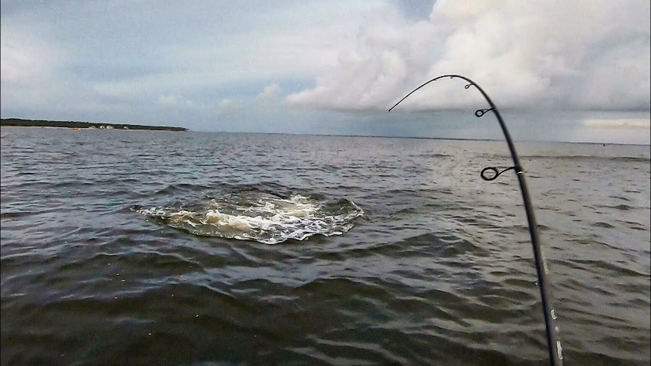 MONSTER Fish Before The Hurricane (Jig & Topwater)