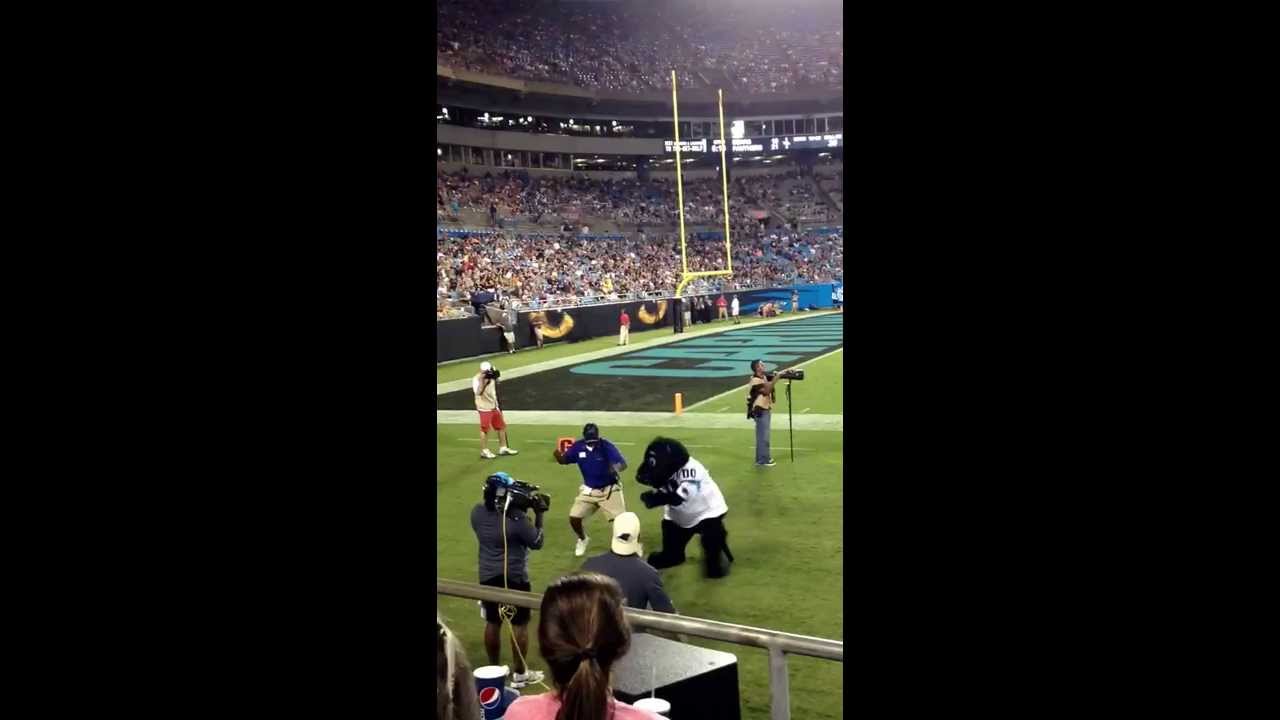 Sir Purr @ Carolina Panthers Game