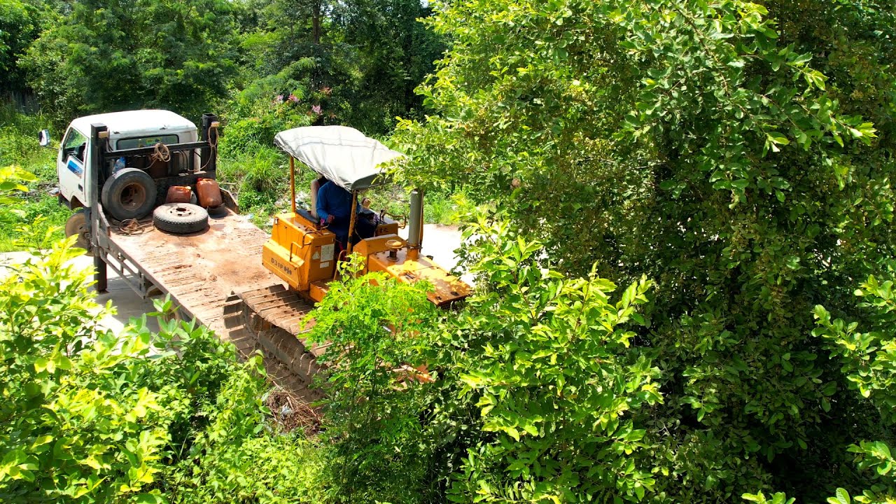 Dozer Clearing Forest By Skills & Operator KOMATSU D31p Made In Japan Dozer Pushing Jungle