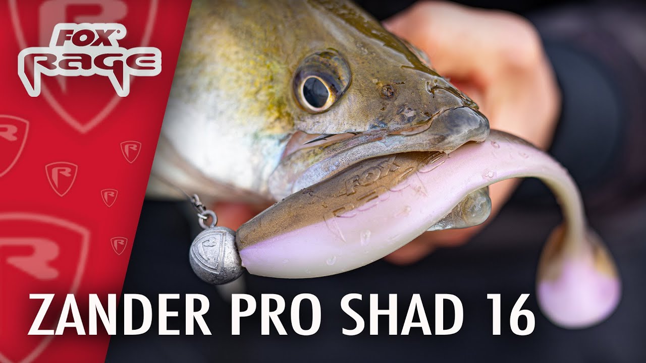 Zander Pro SHAD 16 Cm