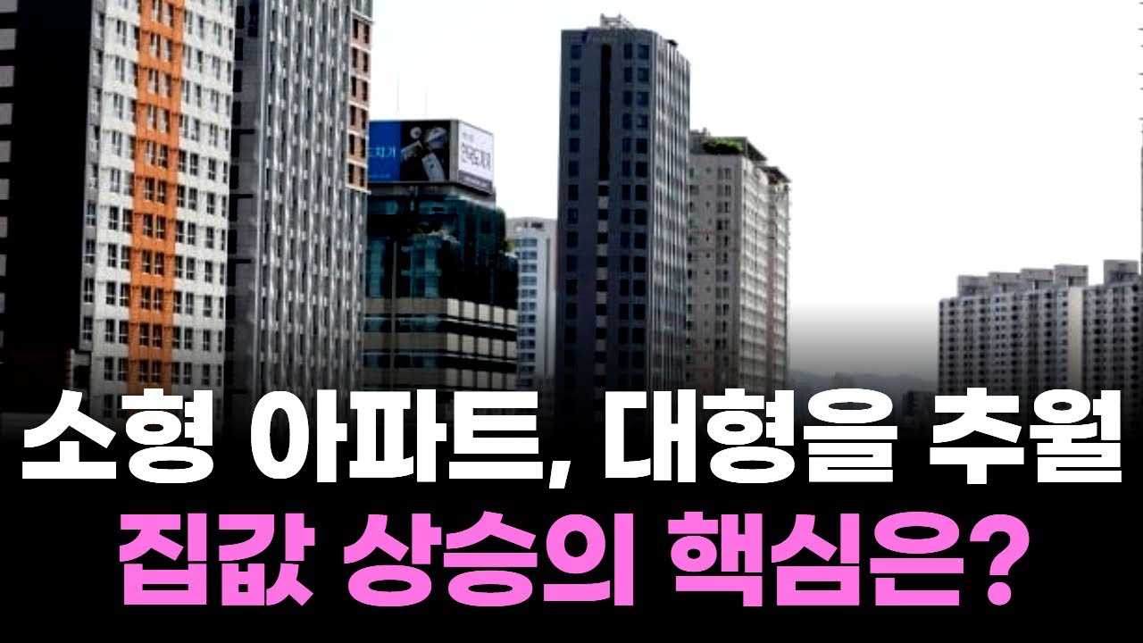 소형 아파트, 대형을 추월! 집값 상승의 핵심은?