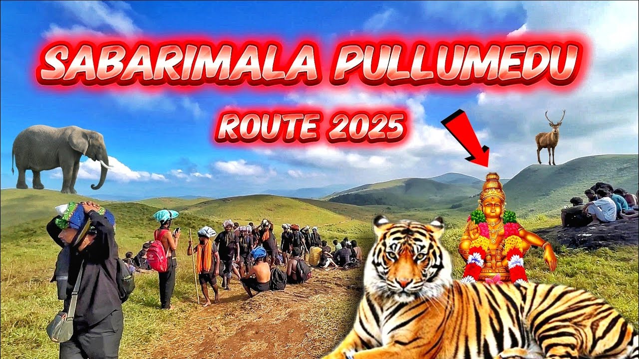 2025 😱🔥 புல்மேடு பாதை | pulmedu paathai sabarimala kerala ayyappan latest video | @stranger_mahi 