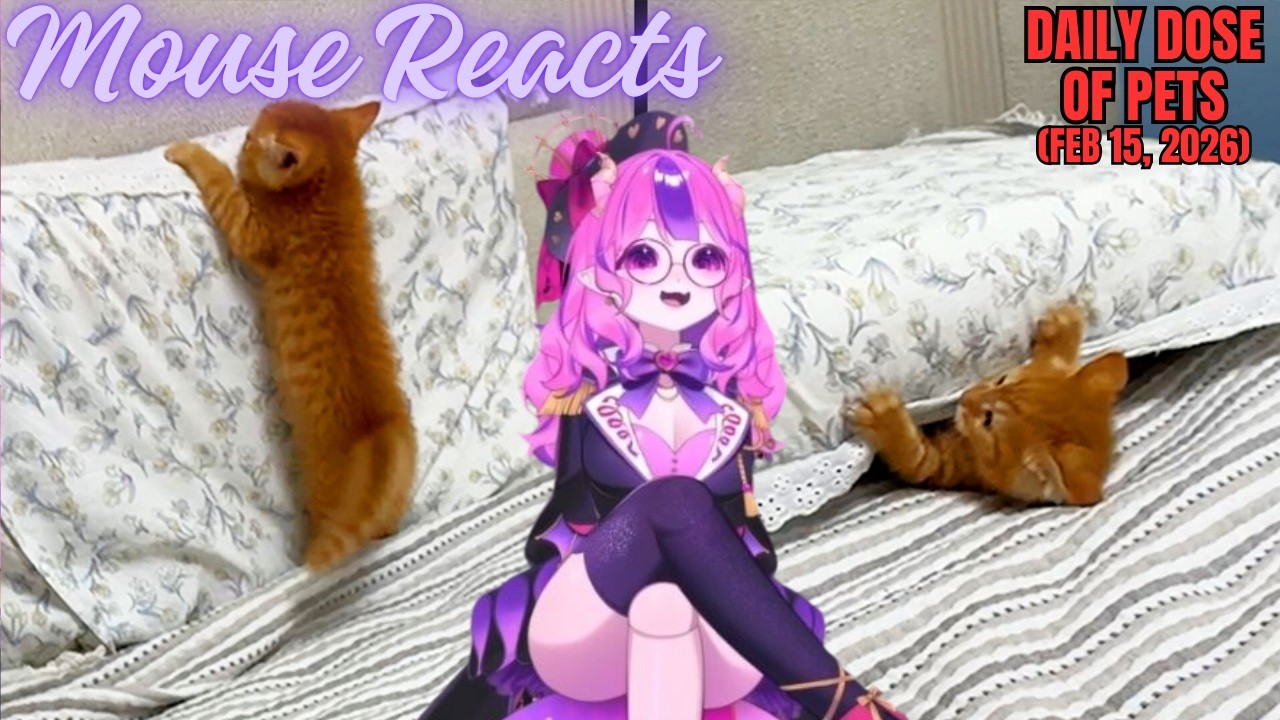 Mouse Reacts to Daily Dose of Pets: They Will Never Try This Again (Feb 15, 2026)