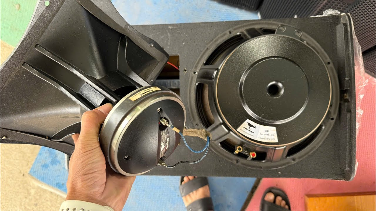 Sai lầm rồi AE ơi!... Cho khách nghe cặp loa Con Chim Syrincs này cái Khách bỏ về luôn. V.ã.i thật!.