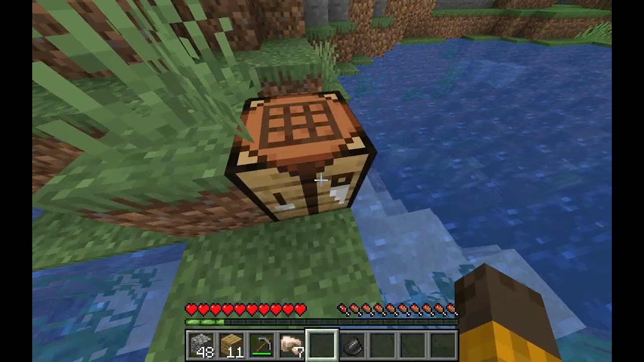 Minecraft video