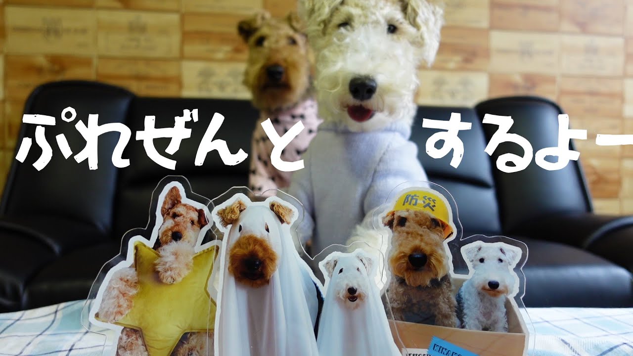 もうすぐチャンネル開設１周年★麦ときなこのアクリルスタンドプレゼントするよ！MugiVlog67
