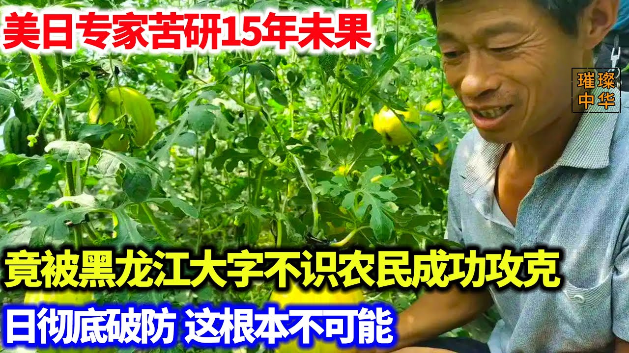 美日专家苦研15年未果，竟被黑龙江大字不识农民成功攻克。美日彻底破防，这根本不可能#中国制造 #农业 #种植
