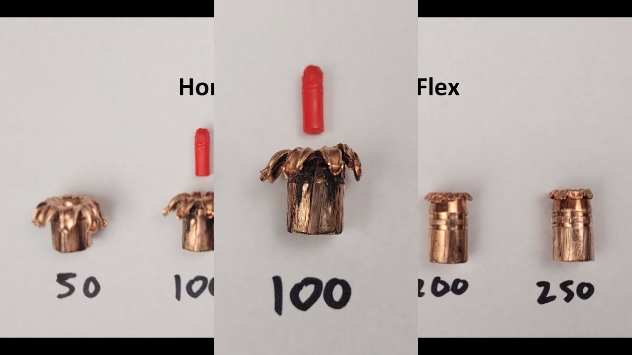 (458 SOCOM) Hornady 250gr MonoFlex Expansion Test