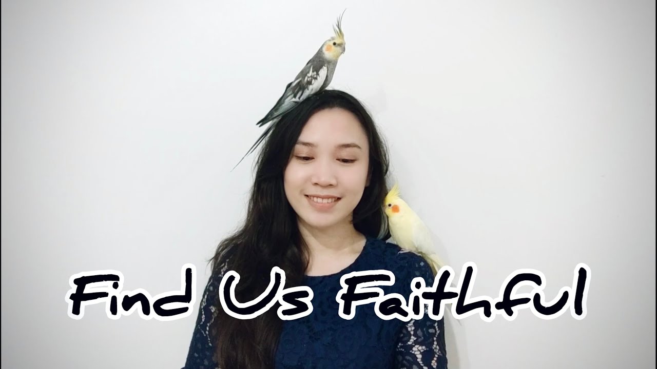 Find Us Faithful - Cover by Gevin and the birds