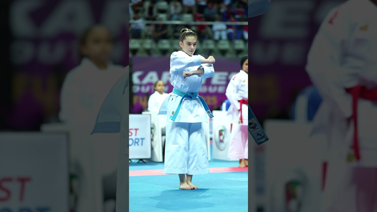Karate Kata unsu. WKF youth league champion Anil Shariatpanahi #karate1 #martialarts #karate #sports