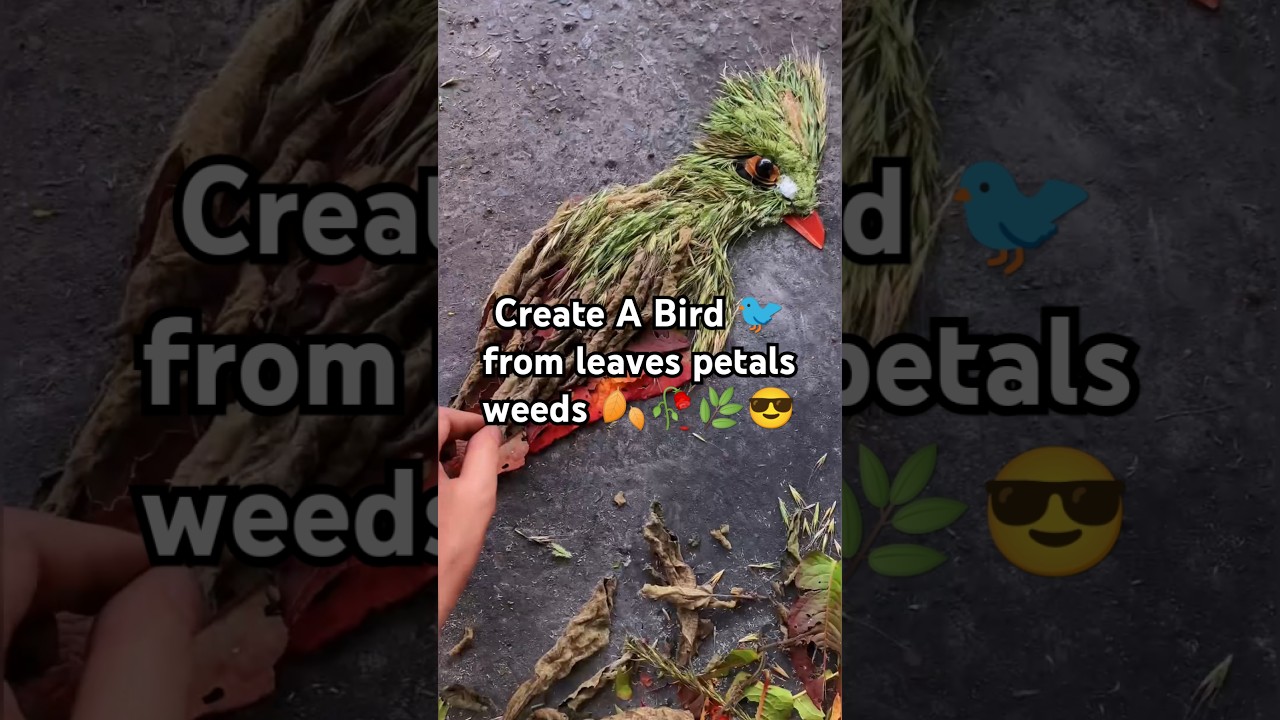 Create A Bird 🐦from leaves,weeds🍂#nature #natureart #plantart #landart #animalart #relaxing #birds