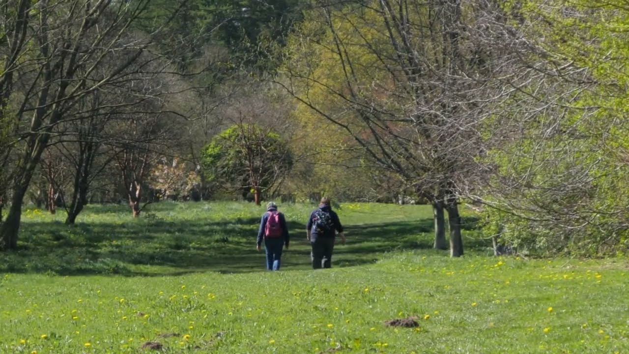 Yorkshire Arboretum Castle Howard