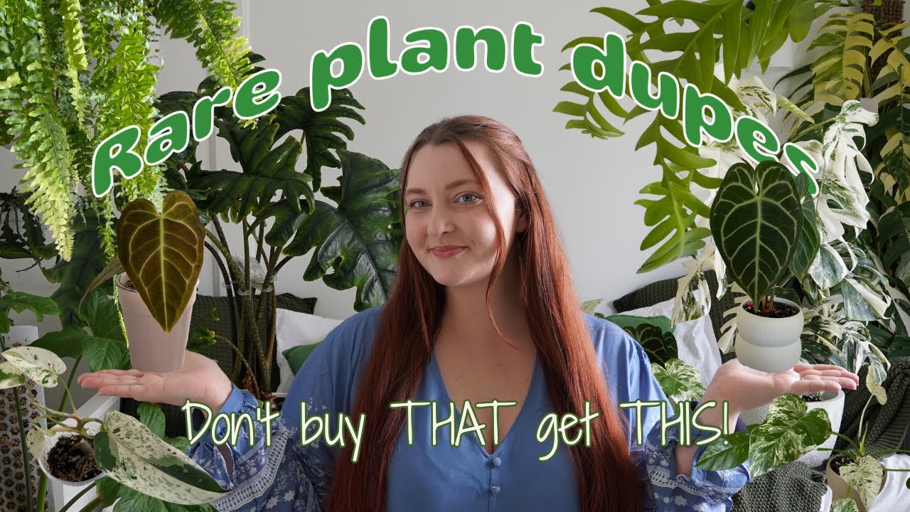 Don’t Waste $$$ on Rare Plants… Get These Dupes Instead!
