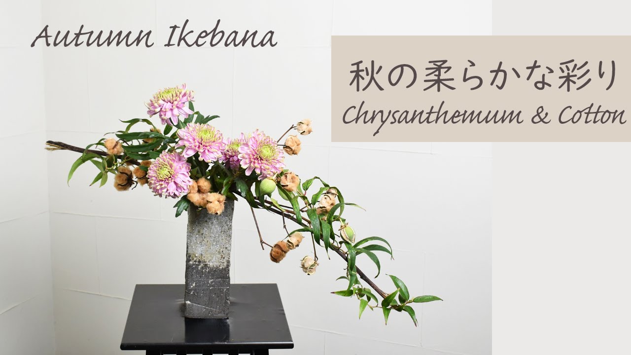 【コットンフラワーの生け花】 初心者でもコツが分かればとっても簡単！ 生け方の基本からアレンジまでサクッと紹介。Japanese ikebana lesson for beginners