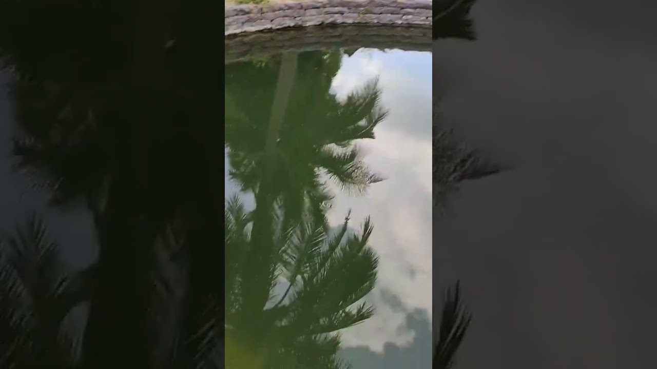#Water