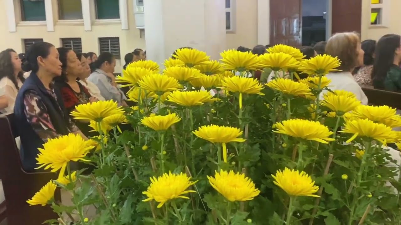 Mọi việc chúng ta làm thành công thất bại ở Thiên Chúa mồng 3tết lễ thánh hóa công việc làm năm mới 