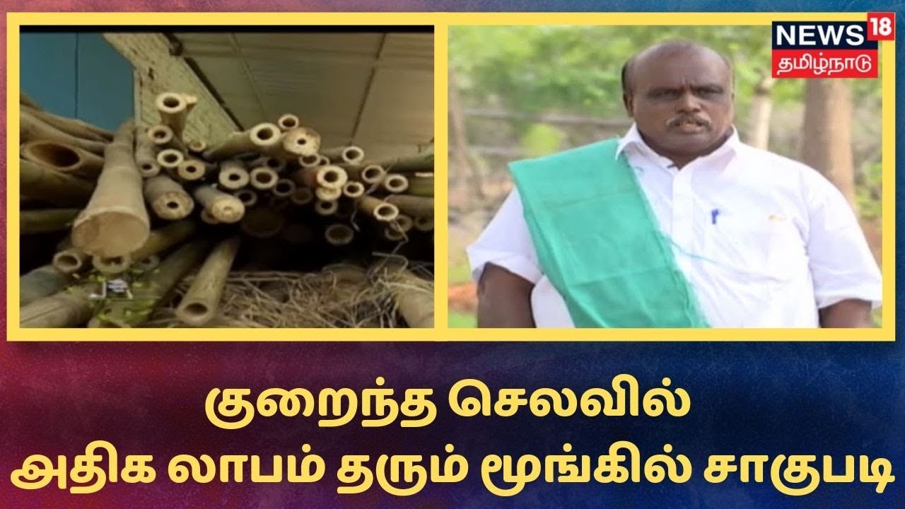 Payirthozhil Pazhagu: குறைந்த செலவில் அதிக லாபம் தரும் மூங்கில் சாகுபடி | Bamboo Cultivation