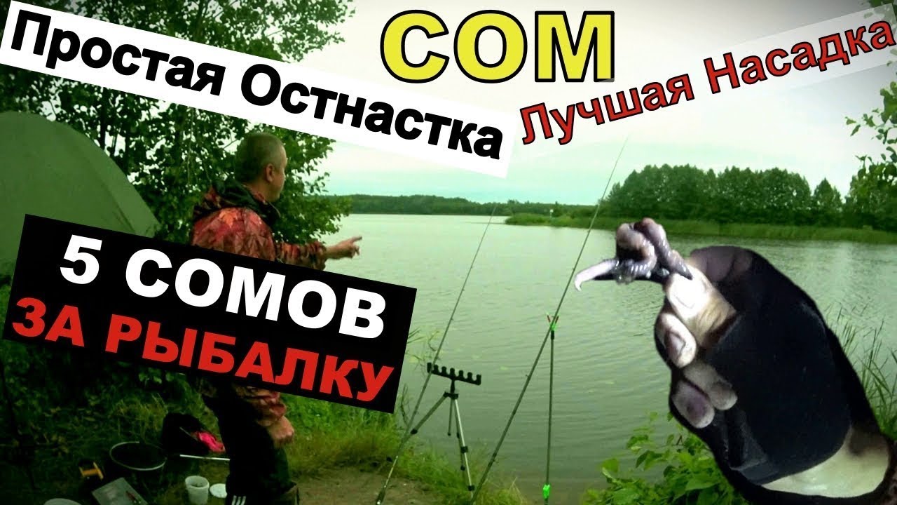 ЭТА НАСАДКА КОСИТ СОМА . Рыбалка - 5 СОМОВ ЗА 7 ЧАСОВ.  ЛОВЛЯ СОМА на закидушку.