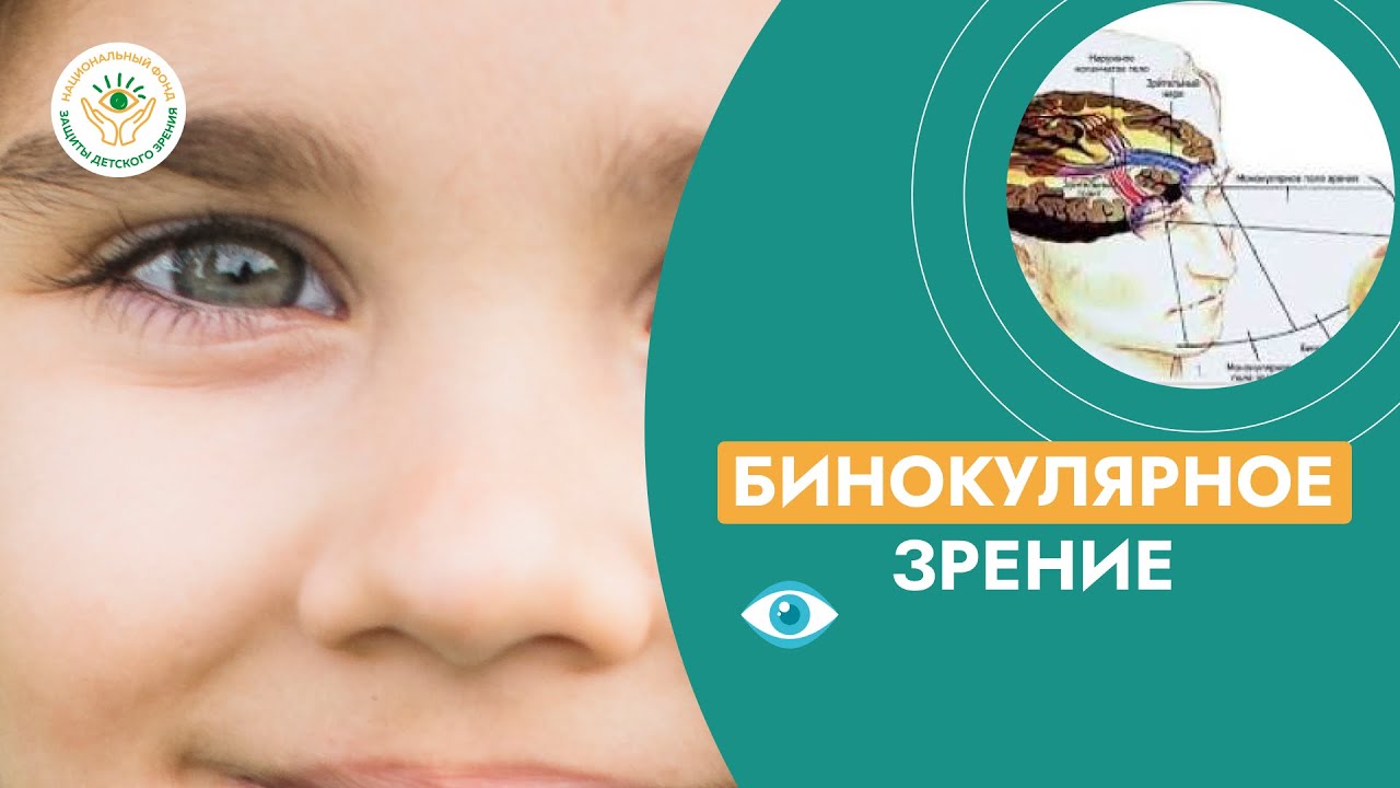 Что такое бинокулярное зрение