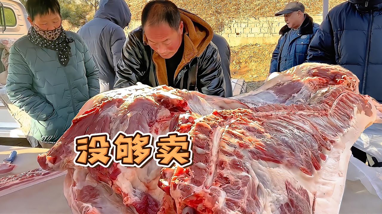 華哥今天可掏上了，4頭500多斤大肥豬沒夠賣，大早上一下賣了半頭豬，趕上豬肉不要錢了【玖叔v​​log】#pork #猪肉 #玖叔vlog#华哥猪肉#玖叔猪肉#豬肉