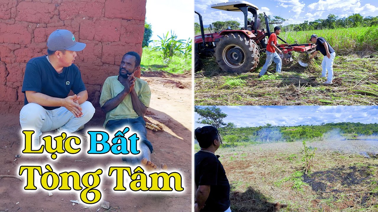 Đ&ocirc;ng Paulo || C&oacute; Trong Tay Cả Mấy Chục Hecta Đất Nhưng Lại LỰC BẤT T&Ograve;NG T&Acirc;M!