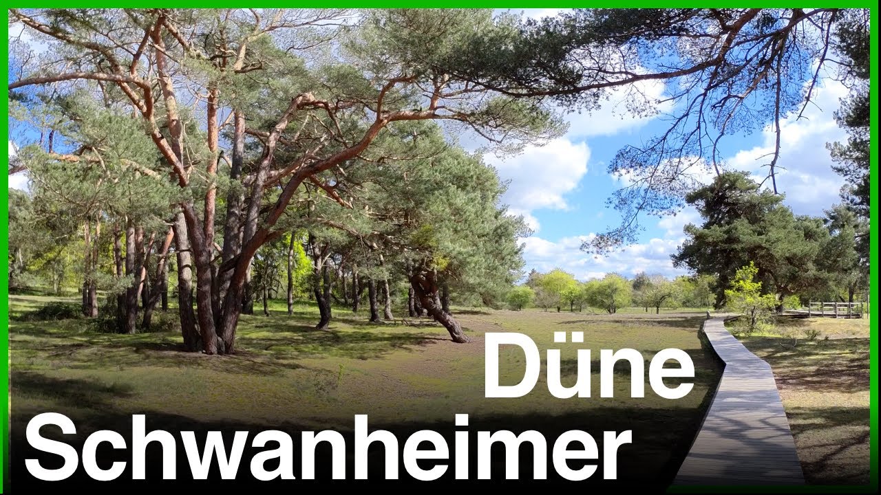 Schwanheimer Düne | Frankfurt am Main | Spaziergang