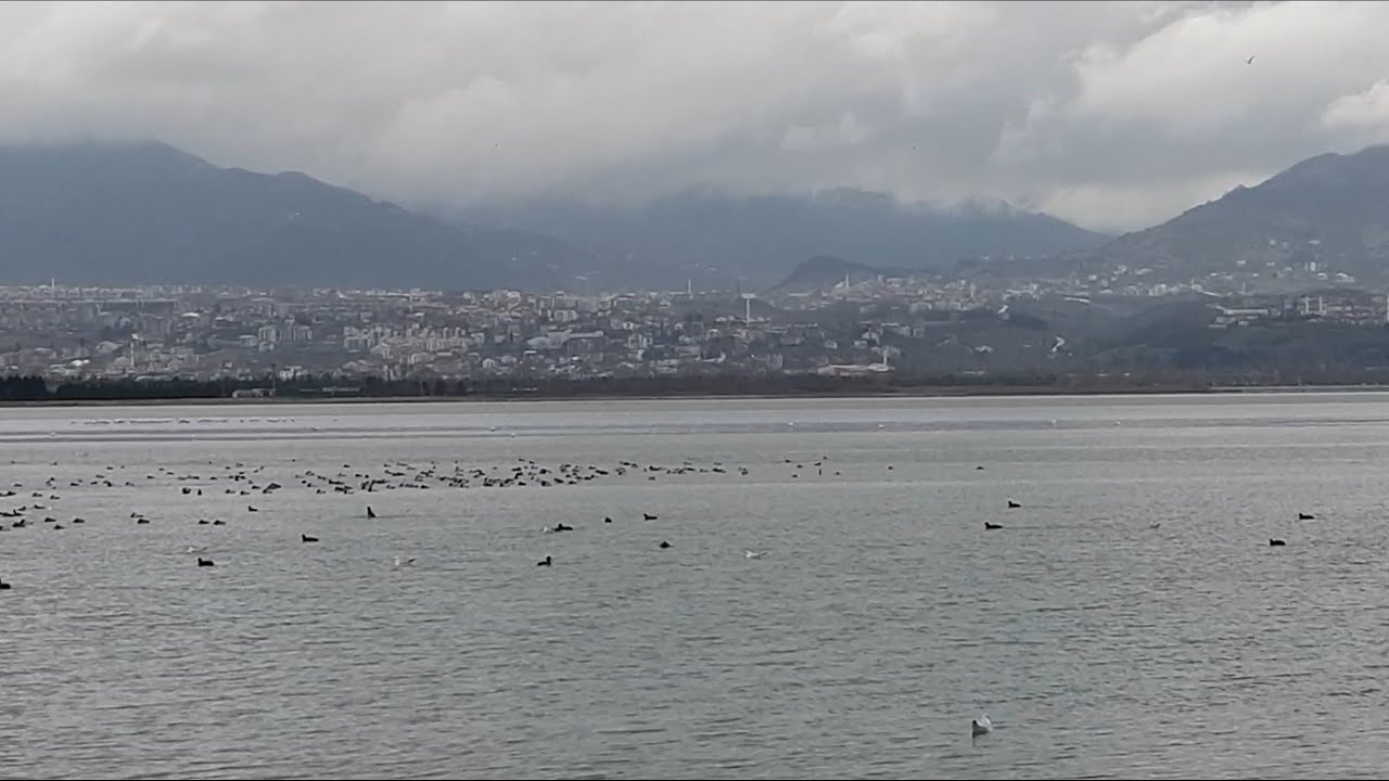 KOCAELİ ( İZMİT ŞEHİR MERKEZİ VE SAHİL )