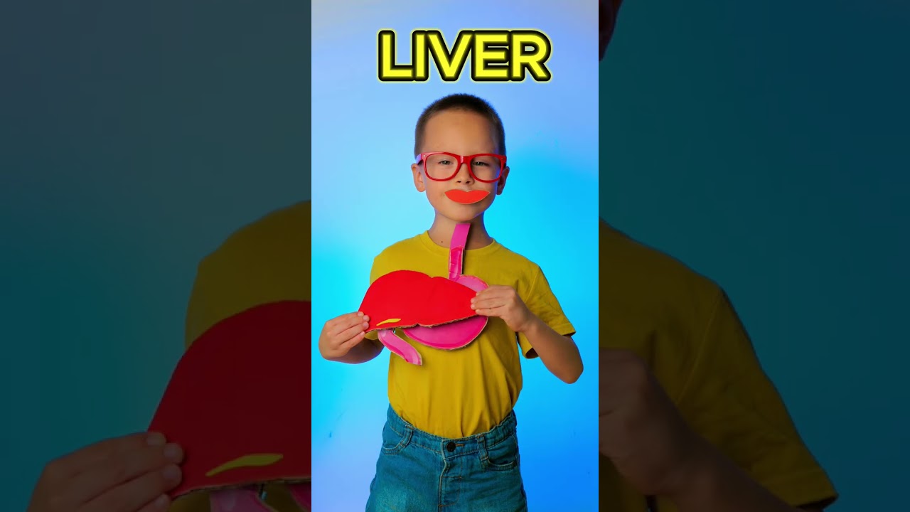 🍎 Learn How Our Body Processes Food 🍽️ #kids #learn